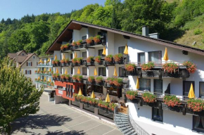 Flair Hotel Sonnenhof Baiersbronn